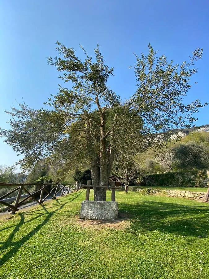 Casa Virginia Villa Orco Feglino